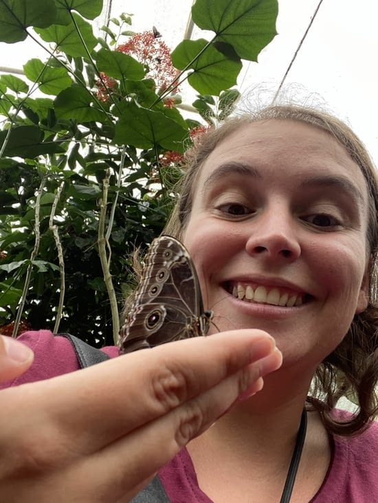 Agathe et son ami le Morpho bleu