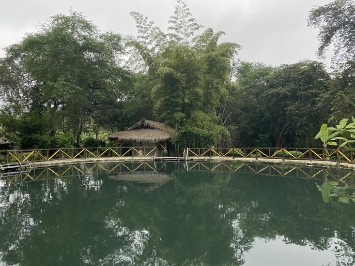 Heureusement vous n’avez pas l’odeur