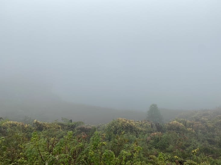 On va pas se mentir. On n’est pas resté très longtemps en haut…