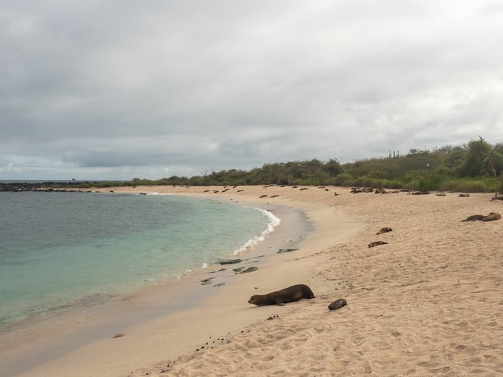 Playa Punta Carola