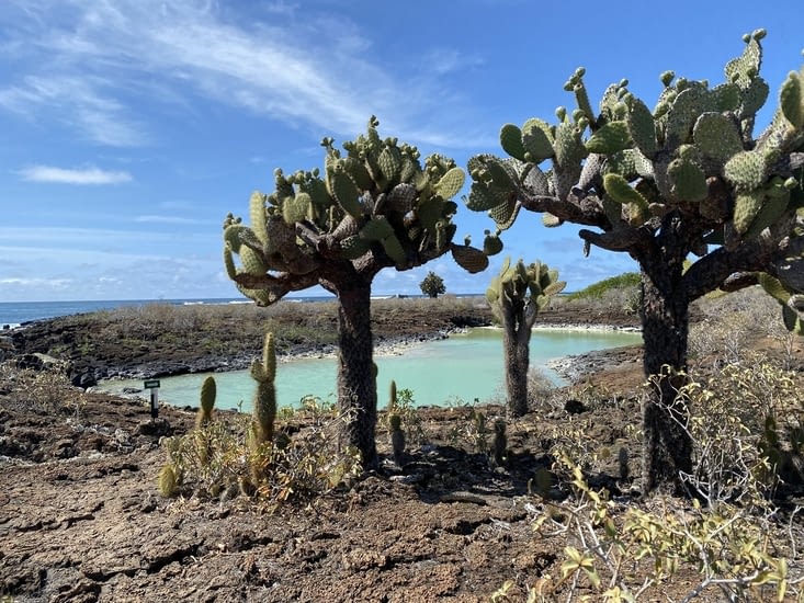 Premier petit étang où l’eau est très concentrée