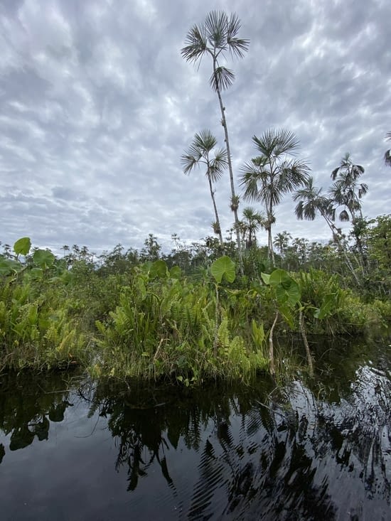 Nous permettant de traverser la lagune tous ensemble