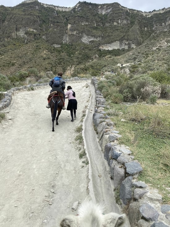 La mulle veut pas forcément avancer