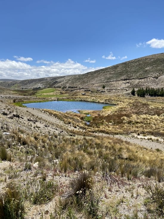 On passe à côté de la mare aux canards