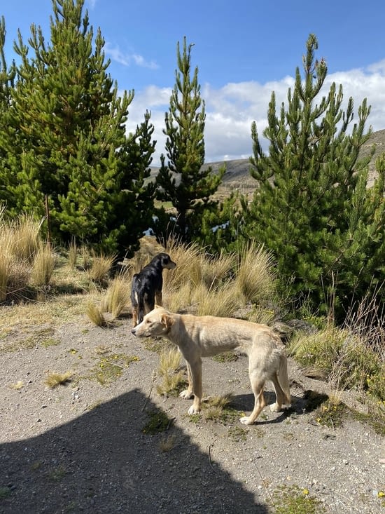 La maison est bien gardée