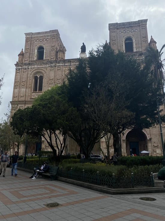 Mais qui est caché derrière ces arbres