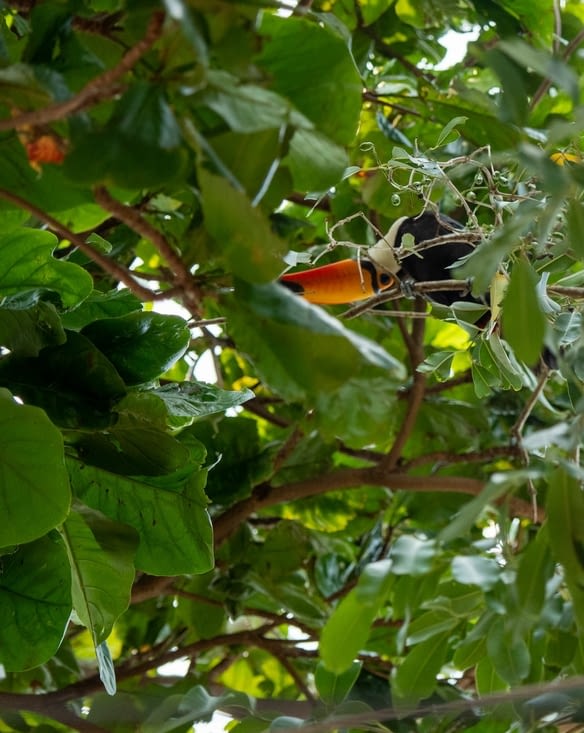 Toujours présent quand nous sommes à l'hôtel