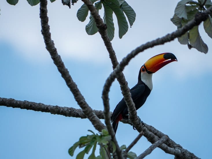Un bon petit déjeuner