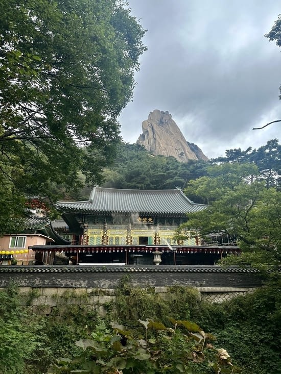 C’est magnifique…