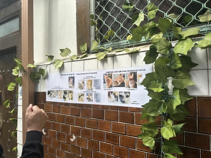 L’arbre généalogique du chat