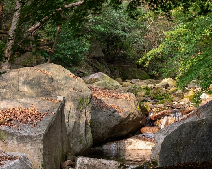Le long du cours d'eau aussi
