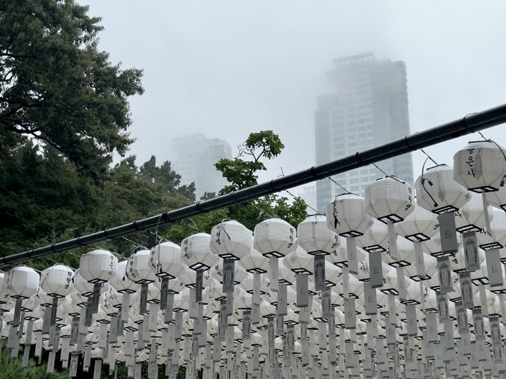 Plein de lampions sont accrochés