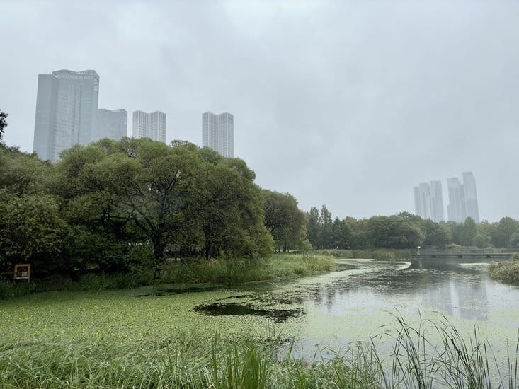 Toujours plus d’étangs