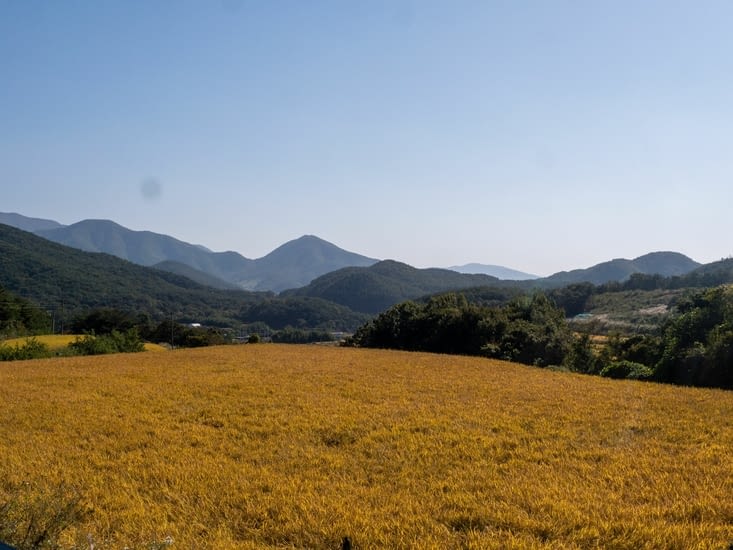 Sortie du park dans la campagne