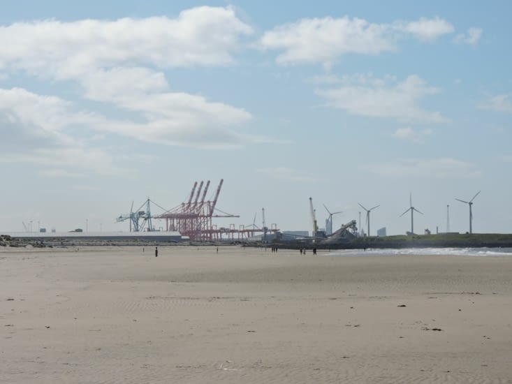 on aperçoit les éoliennes en mer et les grues de la zone portuaire