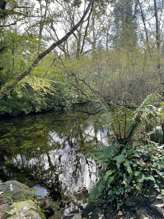 Bienvenue dans une partie du parc de Killarney