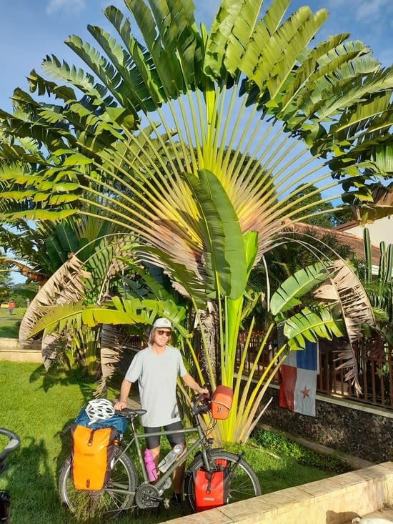 Un arbre qui porte bien son nom pour nous