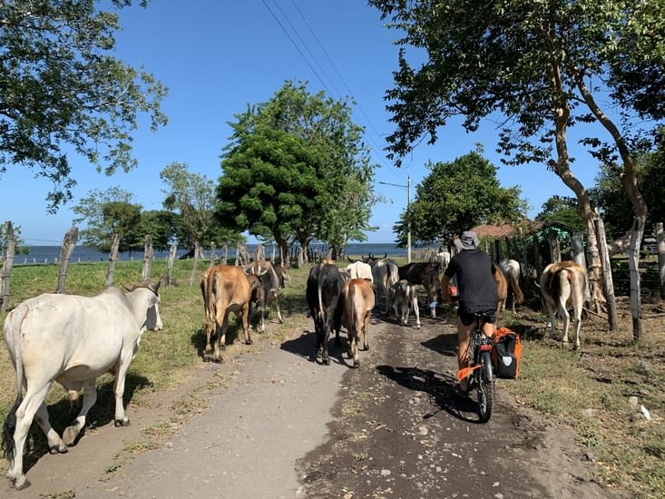 Pas sûr qu’elles nous laissent passer
