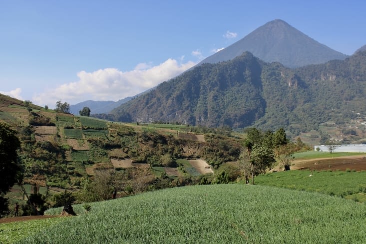 Paysages typiques avec les champs à flanc de montagne et toujours un volcan en fond