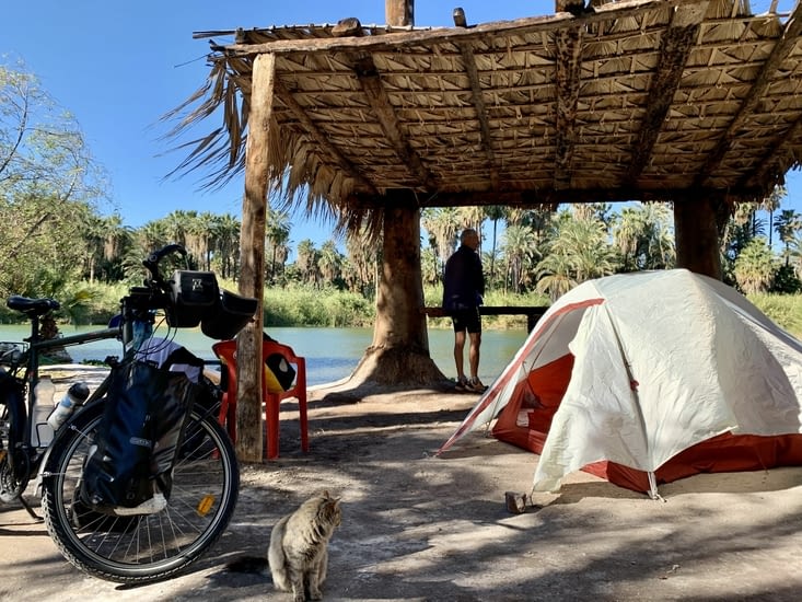 Camping dans l’oasis de San Ignacio