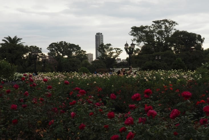 parque rosas