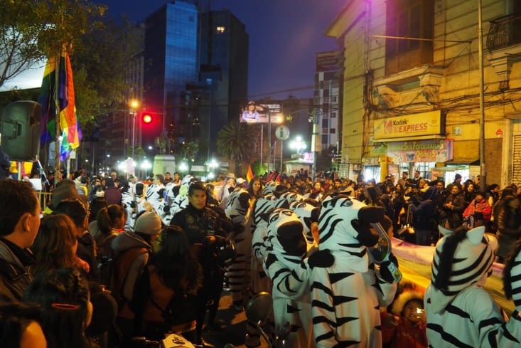Zebras de La Paz por la diversidad sexual