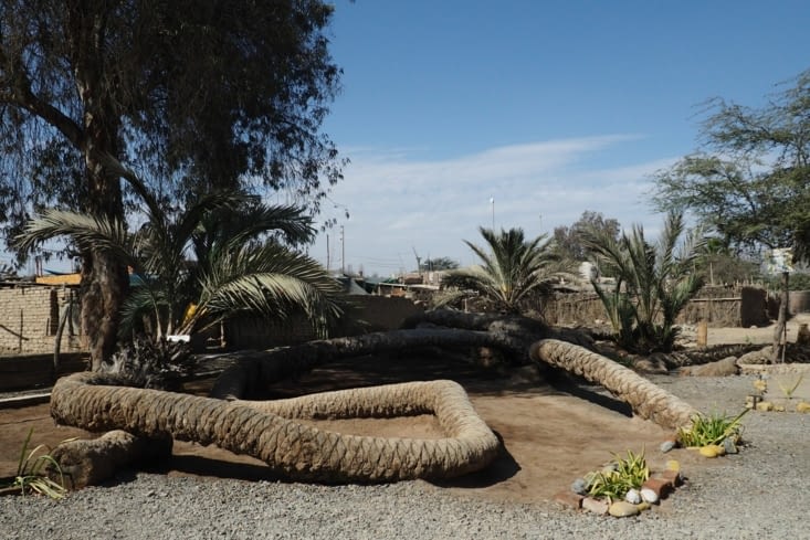 La palmera de siete cabezas