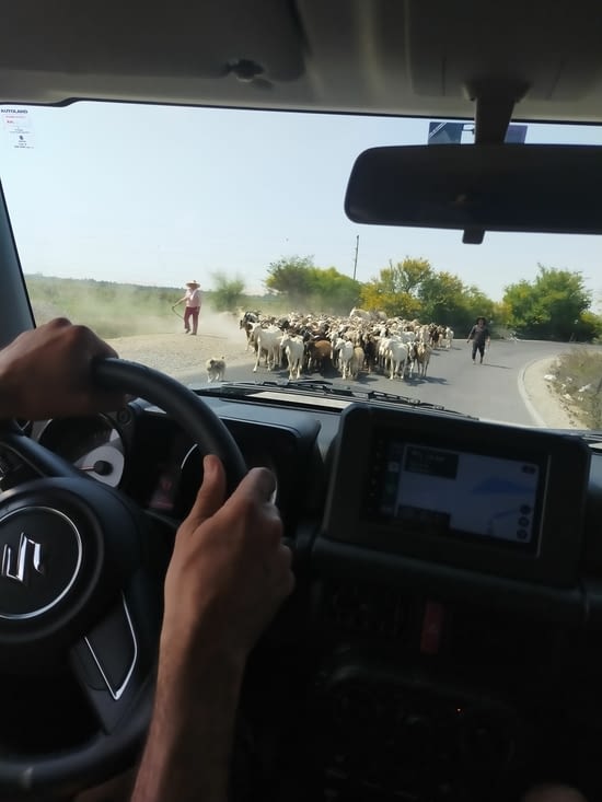 Sur les petites routes caillouteuses, on a croisé des véhicules en face, et pas que