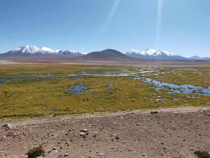 Paysage de l'Altiplano