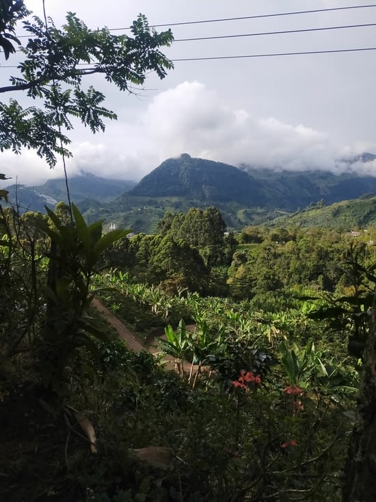 La campagne est superbe...