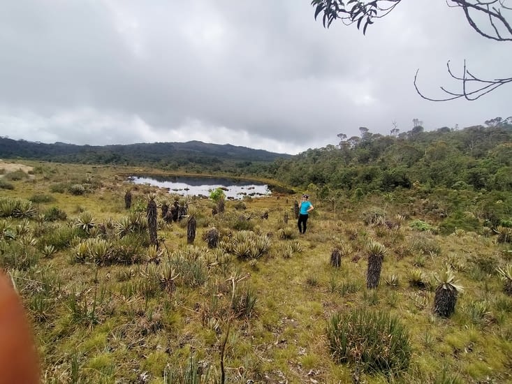 La lagune "el Bebedero"