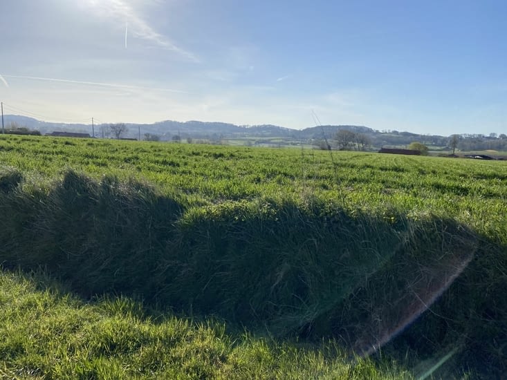 Une fois partis, les  Monts des Flandres sont vite derrière nous !