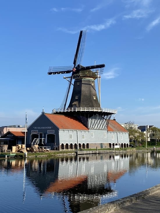 Dont certains impressionnent !