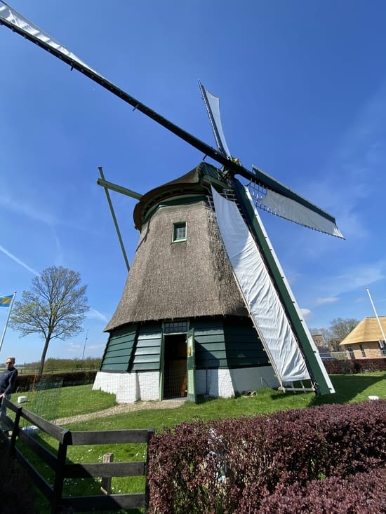 Et toujours les moulins, dont celui de Hoogwoud fonctionne !