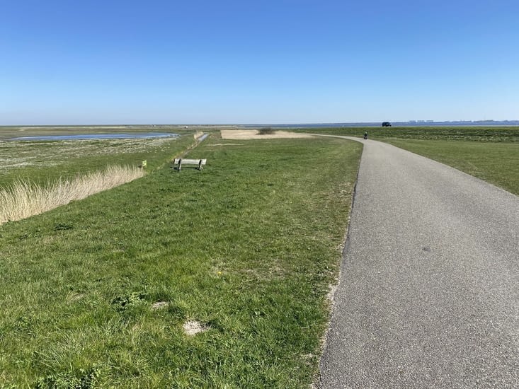 Nouvelles digues infinies…