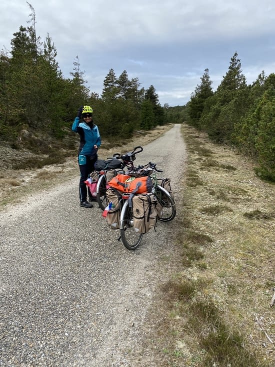 Cette fois après Oksbol nous entrons dans une petite forêt.