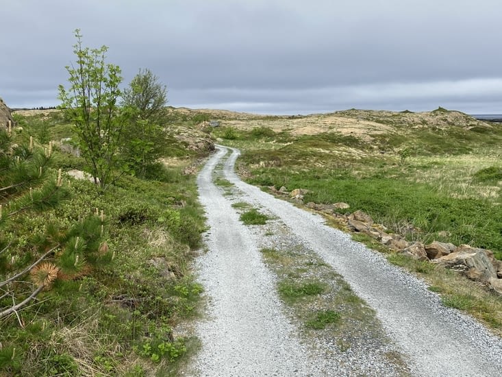 Chemin qui ne mène nulle part