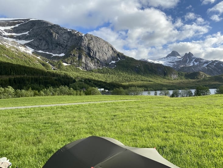 Herbe tendre et grasse.