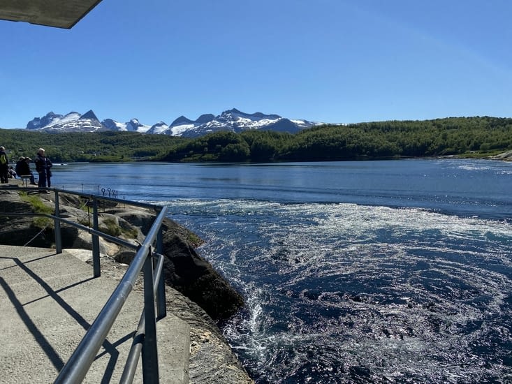 Ce phénomène singulier, et qui attire aussi les touristes, valait de s’arrêter.