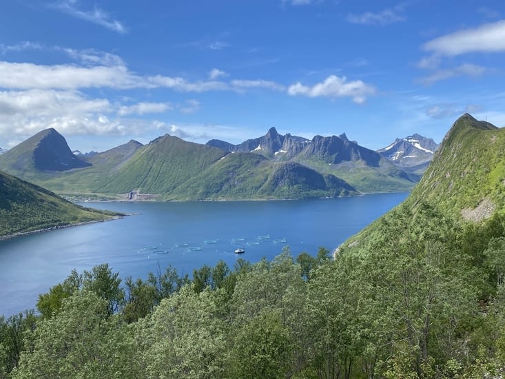 Et bien nous en a pris…