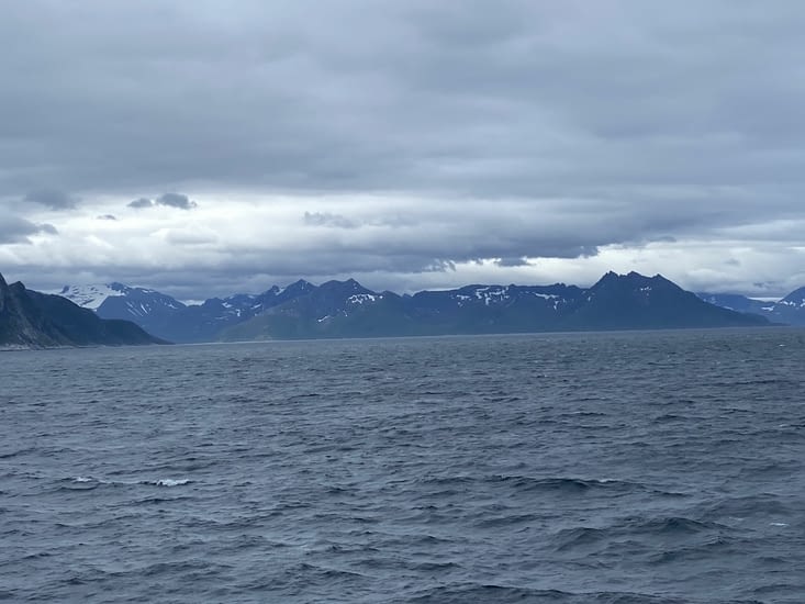 Peu à peu les profils se dessinent nettement.