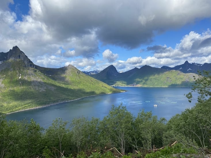 Vous ne trouvez pas ?