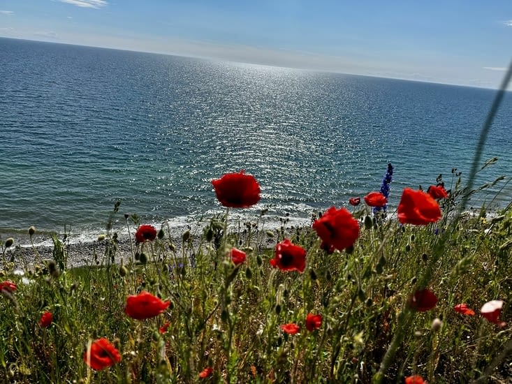 Dans un paysage plutôt plaisant…
