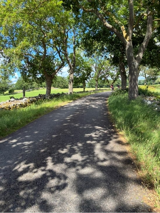 Après Kalmar commence une route champêtre….
