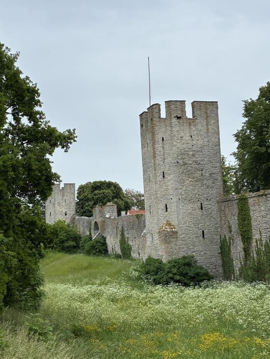 Et nous voici conduits à la merveille de Visby…