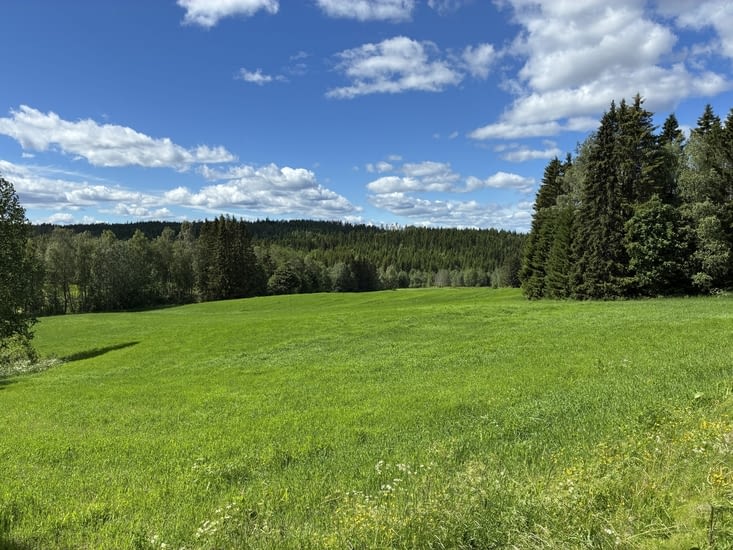 Et être passés dans des paysages vaguement Heidi…