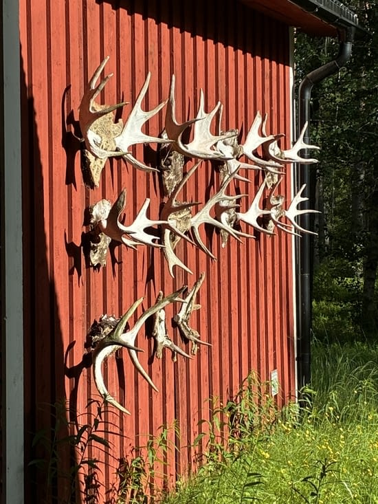 …. fréquentés par les chasseurs dans ce pays où la chasse compte beaucoup.