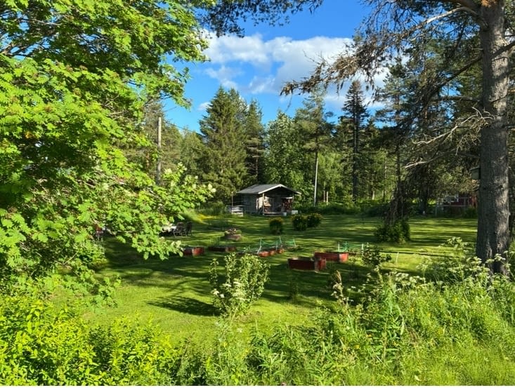 Mais nous nous replongeons dans la forêt et ses nids de verdure…