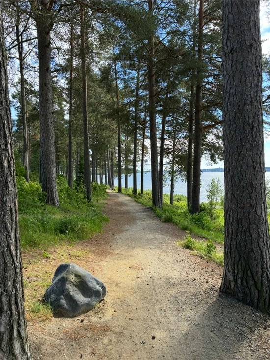 Pour nous rendre par un chemin sympathique…