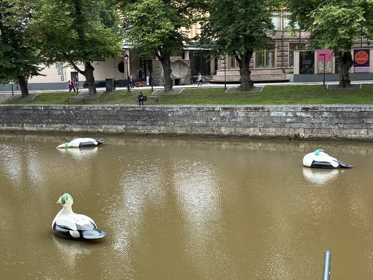Le long du fleuve Aura…
